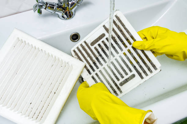 Best Dryer Vent Cleaning Services  in Howell, MI